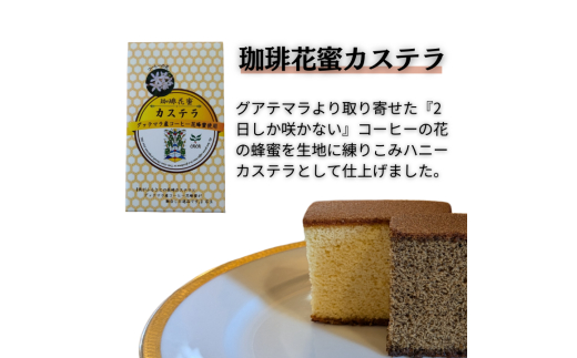 D-7b ジャパンバリスタチャンピオンシップ優勝者のいる珈琲専門店の自家焙煎コーヒー（DP）とカステラのセット【つくば市×牛久市×龍ケ崎市×利根町共通返礼品】