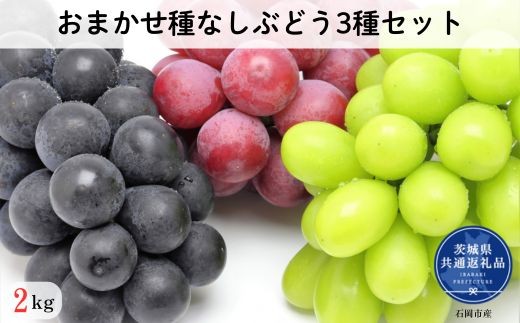 【先行予約】開田ぶどう園　おまかせ種なしぶどう3種セット　2kg（茨城県共通返礼品・石岡市産） ／  ぶどう 葡萄 ブドウ 果物 フルーツ 食べ比べ セット