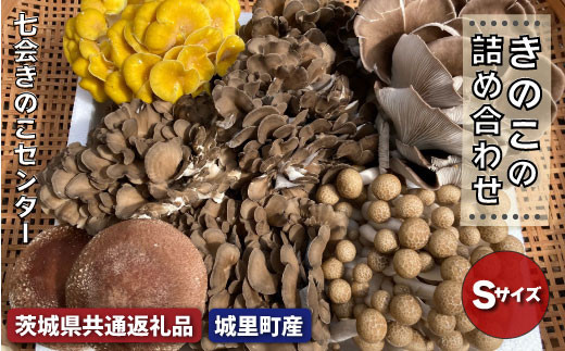 きのこ詰め合わせ　Sサイズ（茨城県共通返礼品／城里町産） / 茨城県 利根町 きのこ キノコ 舞茸 椎茸 あわび茸 たもぎ茸 はなびら茸