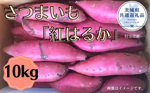 さつまいも「紅はるか」約10kg（2025年産）（茨城県共通返礼品・行方市産） ／ さつまいも さつま芋 サツマイモ 薩摩芋 甘薯 紅はるか 10kg 野菜 茨城県 送料無料