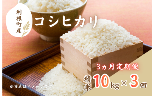 【3ヵ月定期便】利根町産コシヒカリ　精米10kg×3回 ／ 米 こめ コメ お米 おこめ コシヒカリ こしひかり 令和7年産 白米 精米 ご飯 ごはん 10kg 定期便 送料無料