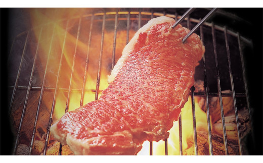 Z-9a 黒毛和牛【常陸牛】焼き肉用　約600g（肩ロース）(茨城県共通返礼品)