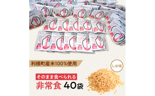 X-2a 利根町産米100％使用　水不要！そのまま食べられる【非常食・備食ライス】しお味（40袋）