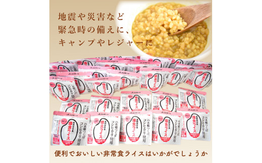 X-3a 利根町産米100％使用　水不要！そのまま食べられる【非常食・備食ライス】しお味＆カレー味（各4袋）