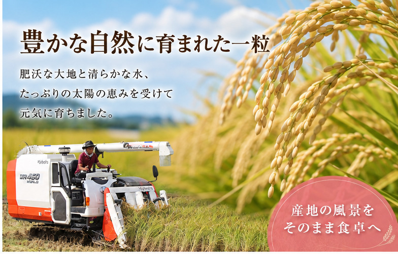 あきたこまち 5kg （茨城県共通返礼品・ひたちなか市産）