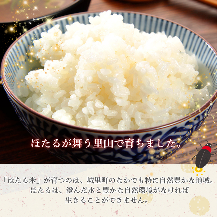 【12カ月定期便】ほたる米 10kg（茨城県共通返礼品・城里町産） / 米 こめ コメ お米 おこめ ほたる米 白米 精米 ごはん ご飯 令和7年産 10kg 定期便 茨城県 城里町 利根町