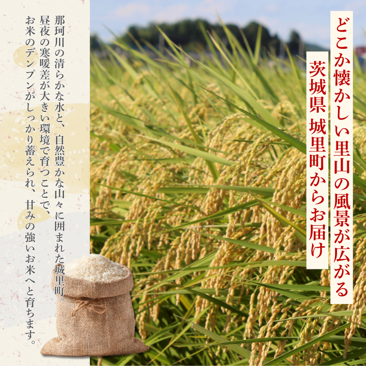【3カ月定期便】コシヒカリ 5kg（茨城県共通返礼品・城里町産） / 米 こめ コメ お米 おこめ コシヒカリ こしひかり 白米 精米 ごはん ご飯 令和7年産 5kg 定期便 茨城県 城里町 利根町