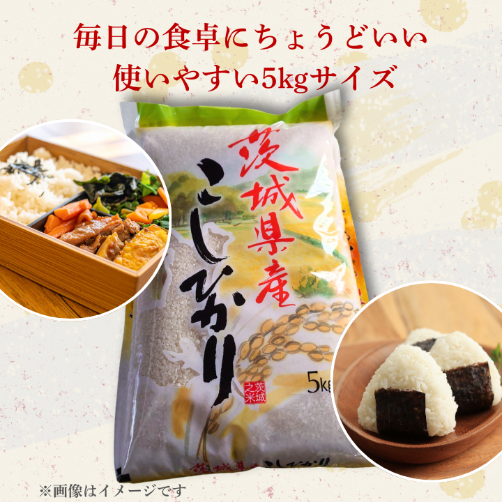 【3カ月定期便】コシヒカリ 10kg（茨城県共通返礼品・城里町産） / 米 こめ コメ お米 おこめ コシヒカリ こしひかり 白米 精米 ごはん ご飯 令和7年産 10kg 定期便 茨城県 城里町 利根町