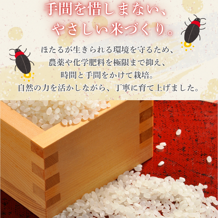 ã6ã«æå®æäŸ¿ãã»ããç±³ 5kgïŒèšåçå
±éè¿ç€Œåã»åéçºç£ïŒ / ç±³ ãã ã³ã¡ ãç±³ ããã ã»ããç±³ çœç±³ 粟米 ãã¯ã ã飯 什å7å¹Žç£ 5kg å®æäŸ¿ èšåç åéçº å©æ ¹çº