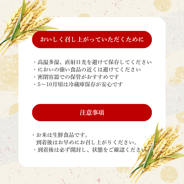 【3カ月定期便】コシヒカリ 5kg（茨城県共通返礼品・城里町産） / 米 こめ コメ お米 おこめ コシヒカリ こしひかり 白米 精米 ごはん ご飯 令和7年産 5kg 定期便 茨城県 城里町 利根町