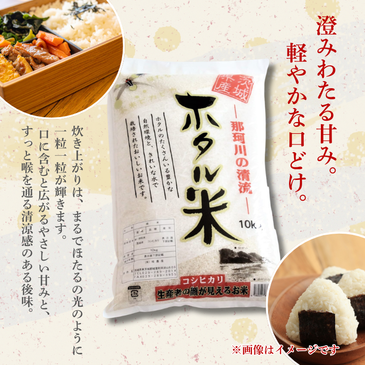 【9カ月定期便】ほたる米 5kg（茨城県共通返礼品・城里町産） / 米 こめ コメ お米 おこめ ほたる米 白米 精米 ごはん ご飯 令和7年産 5kg 定期便 茨城県 城里町 利根町