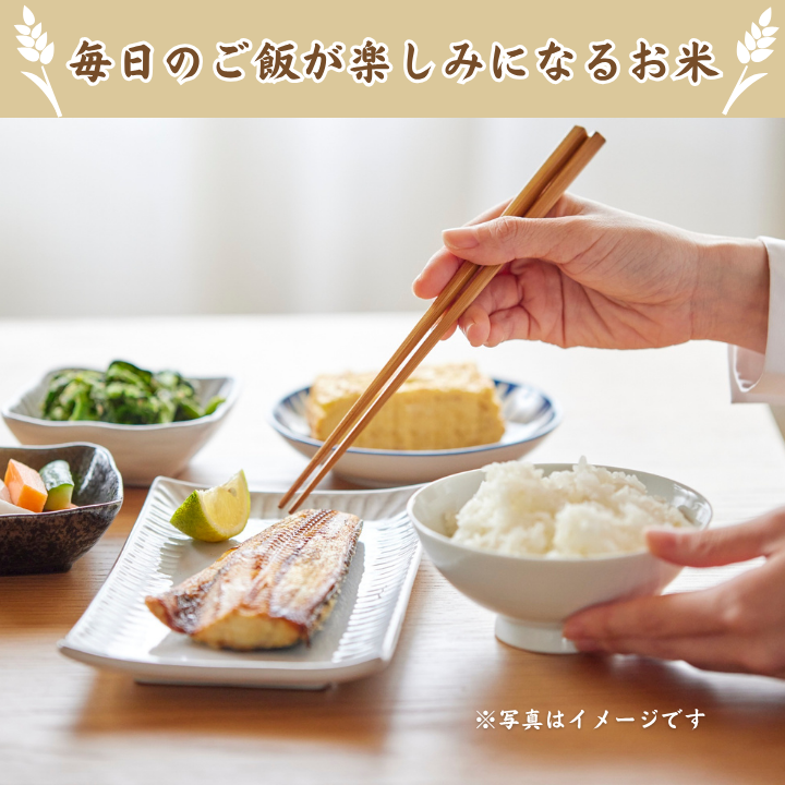 【3ヵ月定期便】利根町産コシヒカリ　精米5kg×3回 ／ 米 こめ コメ お米 おこめ コシヒカリ こしひかり 令和7年産 新米 白米 精米 ご飯 ごはん 5kg 定期便 送料無料