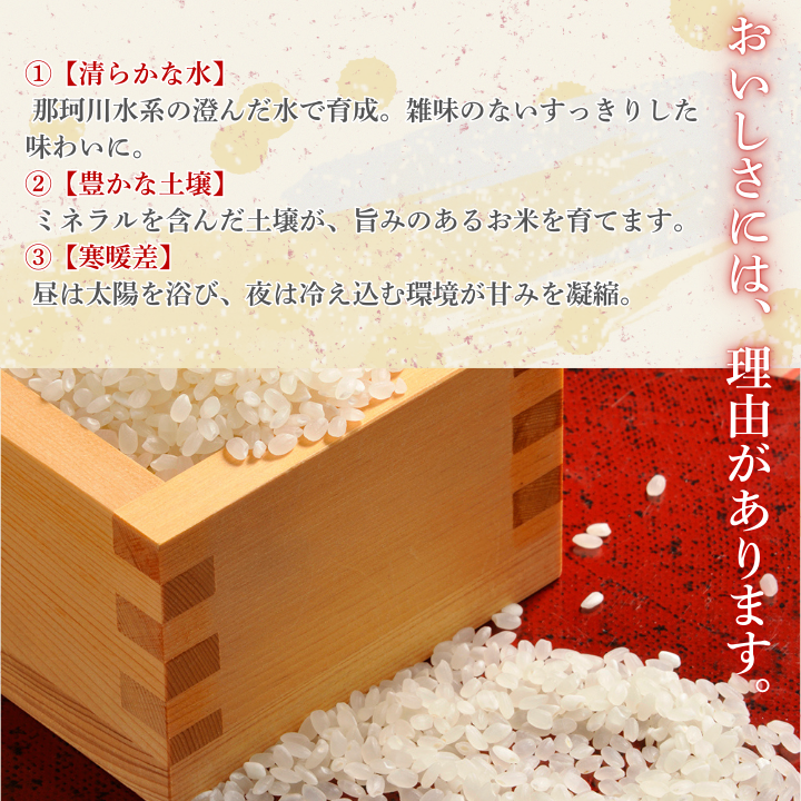 【9カ月定期便】コシヒカリ 5kg（茨城県共通返礼品・城里町産） / 米 こめ コメ お米 おこめ コシヒカリ こしひかり 白米 精米 ごはん ご飯 令和7年産 5kg 定期便 茨城県 城里町 利根町
