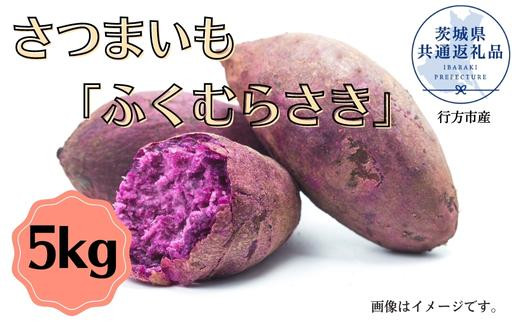 さつまいも「ふくむらさき」約5kg（2025年産）（茨城県共通返礼品・行方市産） ／ さつまいも さつま芋 サツマイモ 薩摩芋 甘薯 ふくむらさき 紅芋 5kg 野菜 茨城県 送料無料