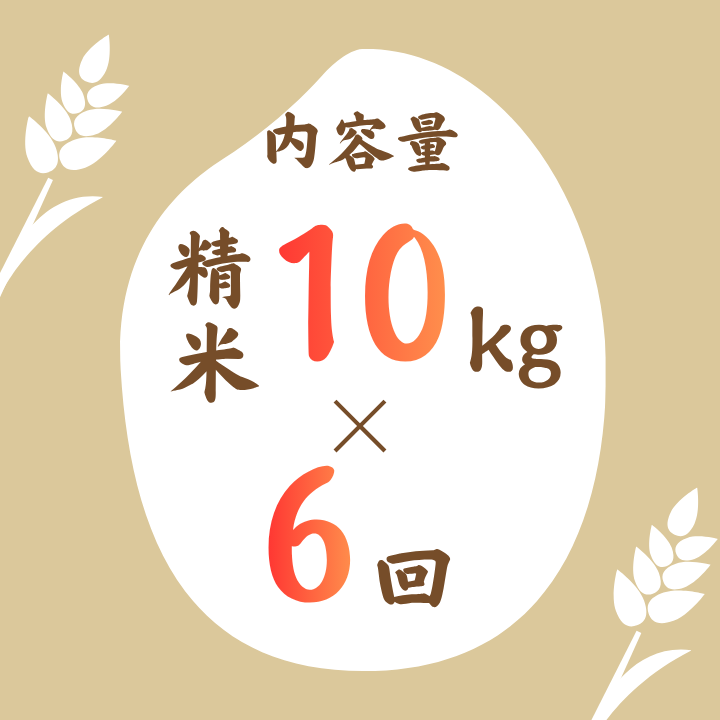 ã6ãµæå®æäŸ¿ã婿 ¹çºç£ã³ã·ãã«ãªã粟米10kgÃ6å ïŒ ç±³ ãã ã³ã¡ ãç±³ ããã ã³ã·ãã«ãª ããã²ãã 什å7å¹Žç£ æ°ç±³ çœç±³ 粟米 ã飯 ãã¯ã 10kg å®æäŸ¿ éæç¡æ