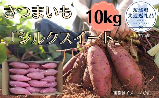 さつまいも「シルクスイート」約10kg（2025年産）（茨城県共通返礼品・行方市産） ／ さつまいも さつま芋 サツマイモ 薩摩芋 甘薯 シルクスイート 10kg 野菜 茨城県 送料無料