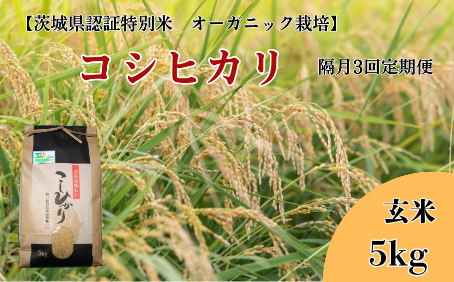 V-43a 【隔月3回定期便】コシヒカリ 玄米5kg×3回【茨城県認証米／オーガニック栽培】