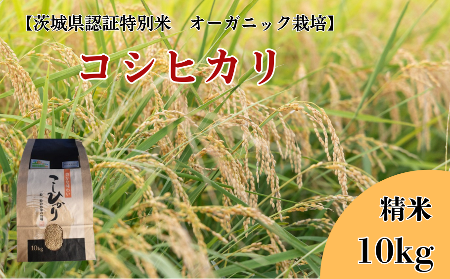 V-38a コシヒカリ　精米10kg【茨城県認証米／オーガニック栽培】