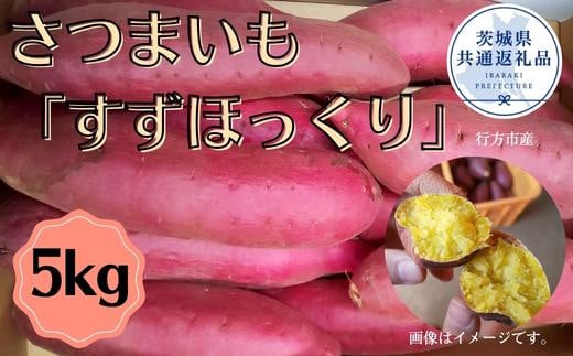 さつまいも「すずほっくり」約5kg（2025年産）（茨城県共通返礼品・行方市産） ／ さつまいも さつま芋 サツマイモ 薩摩芋 甘薯 すずほっくり 5kg 野菜 茨城県 送料無料