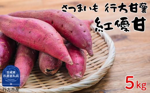 iL-2b さつまいも 行方甘藷 紅優甘 5kg(茨城県共通返礼品・行方市産) / さつまいも さつま芋 サツマイモ 薩摩芋 甘薯 行方甘藷 紅優甘 5kg 野菜 茨城県 送料無料