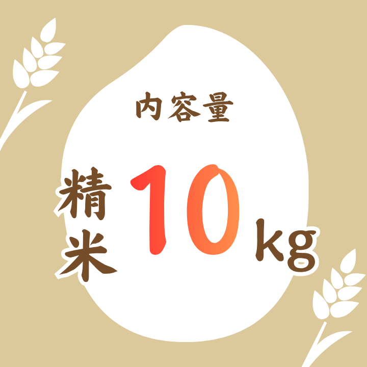 利根町産コシヒカリ　精米10kg ／ 米 こめ コメ お米 おこめ コシヒカリ こしひかり 令和7年産 新米 白米 精米 ご飯 ごはん 10kg 送料無料