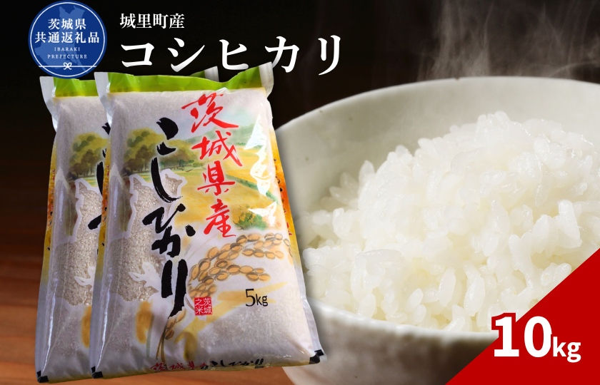 コシヒカリ 10kg（茨城県共通返礼品・城里町産） / 米 こめ コメ お米 おこめ コシヒカリ こしひかり 白米 精米 ごはん ご飯 令和7年産 10kg 茨城県 城里町 利根町