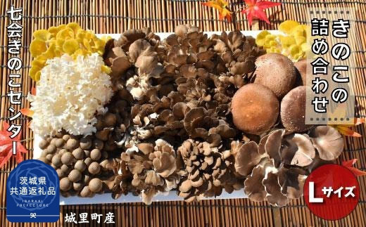 きのこ詰め合わせ　Lサイズ（茨城県共通返礼品／城里町産） / 茨城県 利根町 きのこ キノコ 舞茸 椎茸 あわび茸 たもぎ茸 はなびら茸