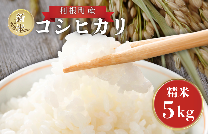 利根町産　コシヒカリ　精米　5kg ／ 米 こめ コメ お米 おこめ コシヒカリ こしひかり 令和7年産 新米 精米 白米 ごはん ご飯 5kg 茨城県 利根町 産地直送 送料無料