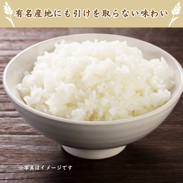 【3ヵ月定期便】利根町産コシヒカリ　精米10kg×3回 ／ 米 こめ コメ お米 おこめ コシヒカリ こしひかり 令和7年産 新米 白米 精米 ご飯 ごはん 10kg 定期便 送料無料