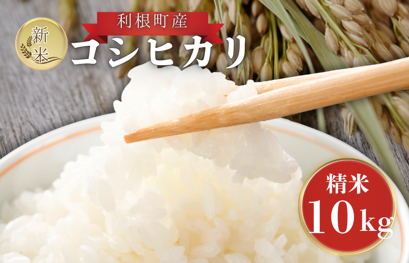 利根町産　コシヒカリ　精米　10kg ／ 米 こめ コメ お米 おこめ コシヒカリ こしひかり 令和7年産 新米 精米 白米 ごはん ご飯 10kg 茨城県 利根町 産地直送 送料無料