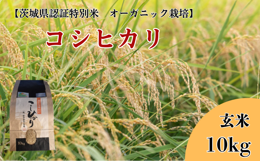 V-37a コシヒカリ　玄米10kg【茨城県認証米／オーガニック栽培】