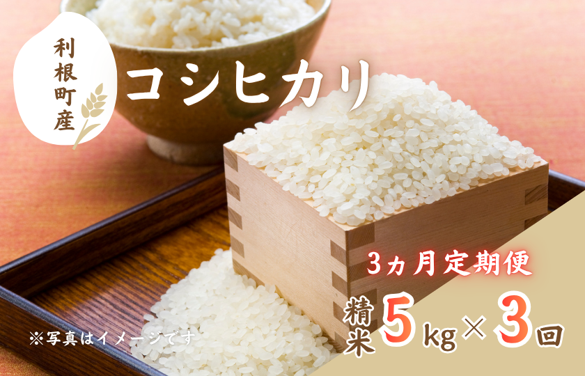 【3ヵ月定期便】利根町産コシヒカリ　精米5kg×3回 ／ 米 こめ コメ お米 おこめ コシヒカリ こしひかり 令和7年産 新米 白米 精米 ご飯 ごはん 5kg 定期便 送料無料