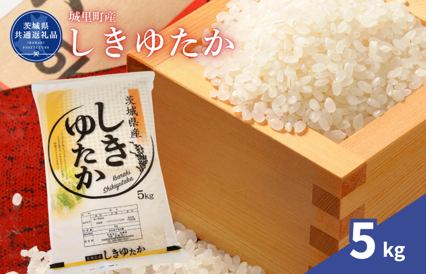 しきゆたか 5kg（茨城県共通返礼品・城里町産） / 米 こめ コメ お米 おこめ しきゆたか 白米 精米 ごはん ご飯 令和7年産 5kg 茨城県 城里町 利根町