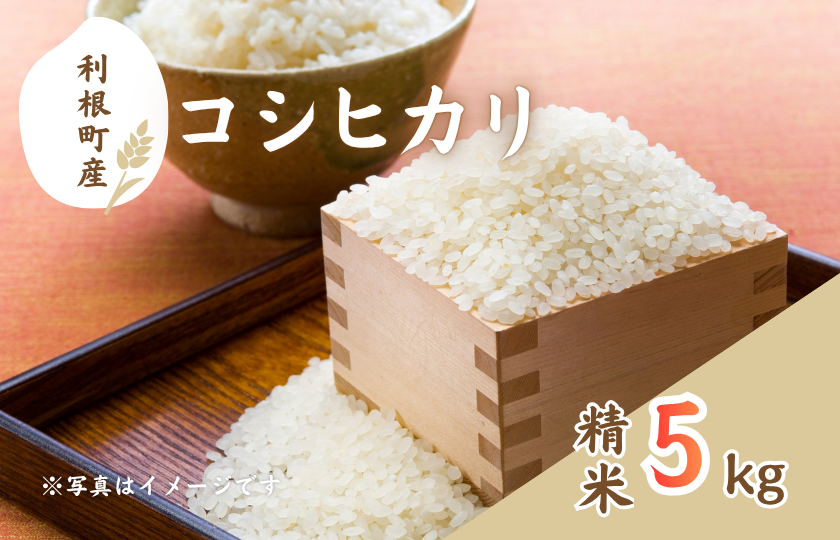 利根町産コシヒカリ　精米5kg ／ 米 こめ コメ お米 おこめ コシヒカリ こしひかり 令和7年産 新米 白米 精米 ご飯 ごはん 10kg 送料無料