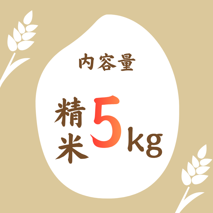 蛻ゥ譬ケ逕コ逕」繧ウ繧キ繝偵き繝ェ縲邊セ邀ウ5kg シ 邀ウ 縺薙a 繧ウ繝。 縺顔アウ 縺翫%繧 繧ウ繧キ繝偵き繝ェ 縺薙@縺イ縺九j 莉、蜥7蟷エ逕」 譁ー邀ウ 逋ス邀ウ 邊セ邀ウ 縺秘」ッ 縺斐ッ繧 10kg 騾∵侭辟。譁