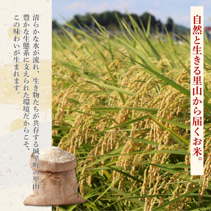 ほたる米 5kg（茨城県共通返礼品・城里町産） / 米 こめ コメ お米 おこめ ほたる米 白米 精米 ごはん ご飯 令和7年産 5kg 茨城県 城里町 利根町