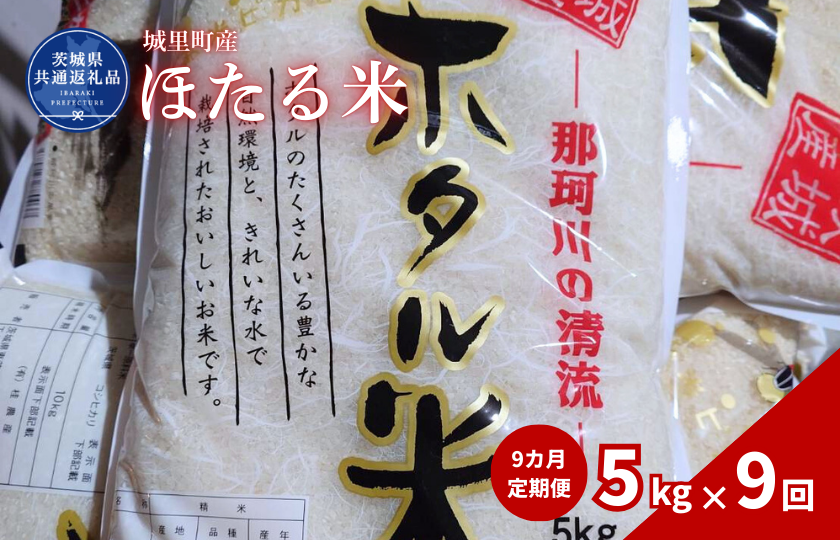 【9カ月定期便】ほたる米 5kg（茨城県共通返礼品・城里町産） / 米 こめ コメ お米 おこめ ほたる米 白米 精米 ごはん ご飯 令和7年産 5kg 定期便 茨城県 城里町 利根町