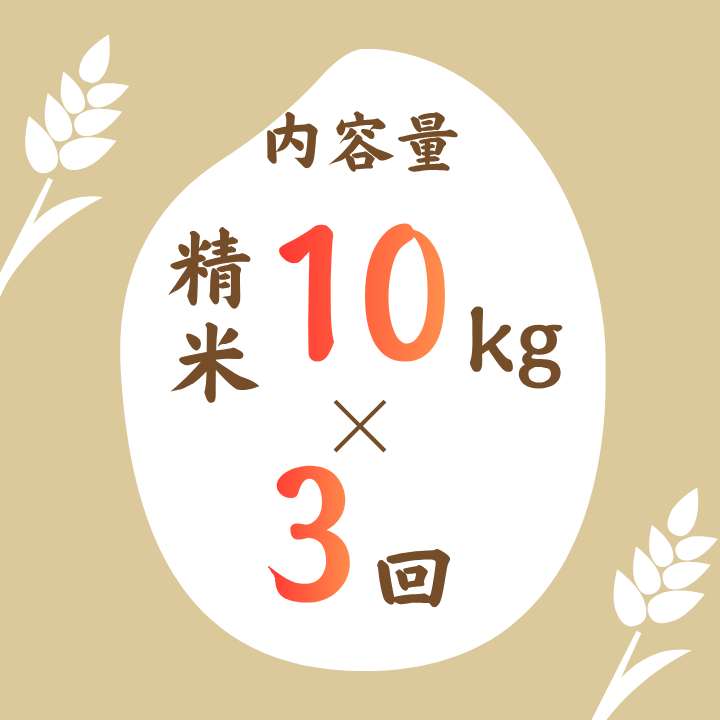 【3ヵ月定期便】利根町産コシヒカリ　精米10kg×3回 ／ 米 こめ コメ お米 おこめ コシヒカリ こしひかり 令和7年産 新米 白米 精米 ご飯 ごはん 10kg 定期便 送料無料
