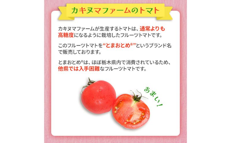 栃木県 鹿沼産 高糖度 フルーツトマト ”とまおとめ” 食べ比べ 2kg お届け：12月下旬～6月上旬 トマト カキヌマファーム アイコ フルティカ アルル イエローアイコ 濃厚 入手困難 贈り物 栃木県 鹿沼市