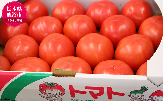 『かぬまブランド認定』鹿沼の美味しい大玉トマト（麗容）