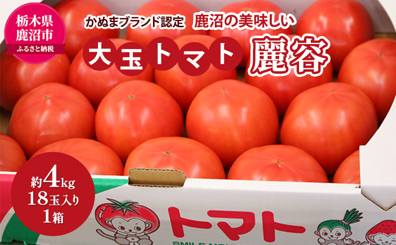 かぬまブランド認定 鹿沼の美味しい 大玉トマト 麗容 【発送予定】2月上旬～3月下旬 とまと トマト 野菜 JAかみつが かぬまブランド 甘み 酸味 大玉トマト リコピン 鹿沼市 かぬま