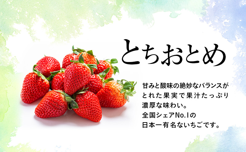 つる付きとちおとめ2パック箱（3月～5月発送）