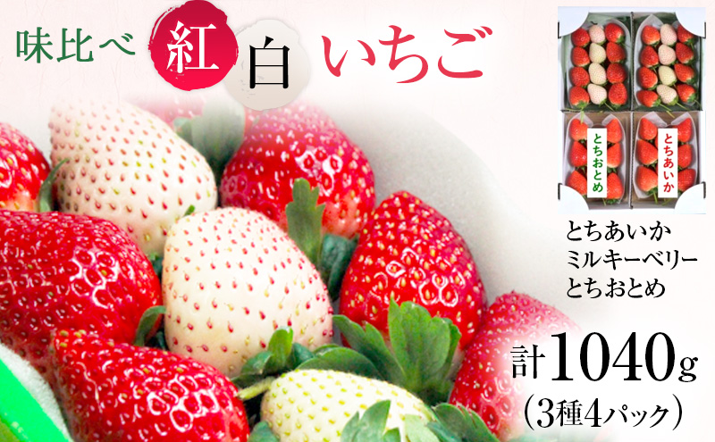 味くらべ紅白いちご 3種 4パック （12月下旬～1月上旬発送） いちご 果物 フルーツ 苺 イチゴ くだもの とちあいか ミルキーベリー とちおとめ 朝取り 新鮮 美味しい 甘い