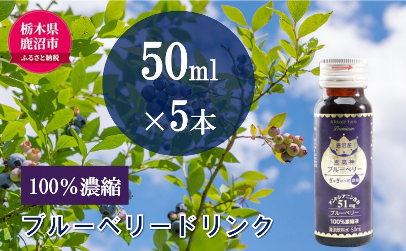 無添加 砂糖不使用 のぎゅぎゅっと 100％ 濃縮 ブルーベリードリンク 1箱 （50ml×5本） 果汁飲料 野菜飲料 ブルーベリージュース