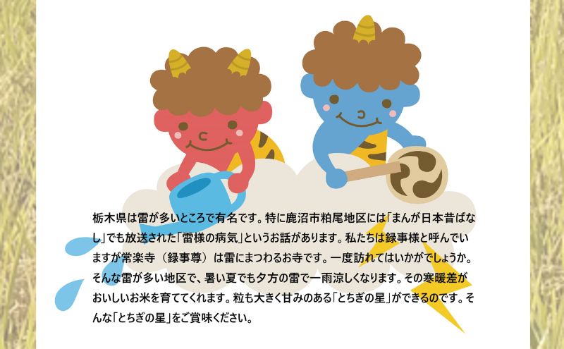 【定期便 3ヶ月】栃木県鹿沼市産 とちぎの星 無洗米 10kg（5kg×2袋） 3回お届け 令和6年産 水稲うるち精米 単一原料米 お米 特A 大粒 甘さ 