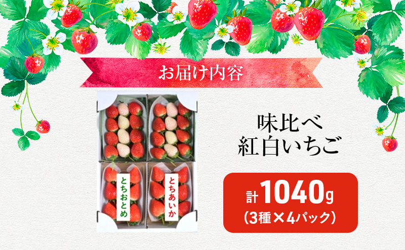 味くらべ紅白いちご 3種 4パック （2月中旬～下旬発送） いちご 果物 フルーツ 苺 イチゴ くだもの とちあいか ミルキーベリー とちおとめ 朝取り 新鮮 美味しい 甘い