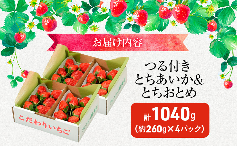 あいか×おとめハーフ＆ハーフ 4パック （3月～5月発送） いちご 果物 フルーツ 苺 イチゴ くだもの とちあいか とちおとめ 朝取り 新鮮 美味しい 甘い