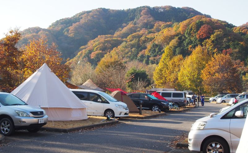 出会いの森総合公園オートキャンプ場で使える 施設利用券 3,000円分 クーポン チケット キャンプ アウトドア 鹿沼市