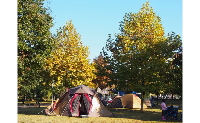 出会いの森総合公園オートキャンプ場で使える 施設利用券 3,000円分 クーポン チケット キャンプ アウトドア 鹿沼市