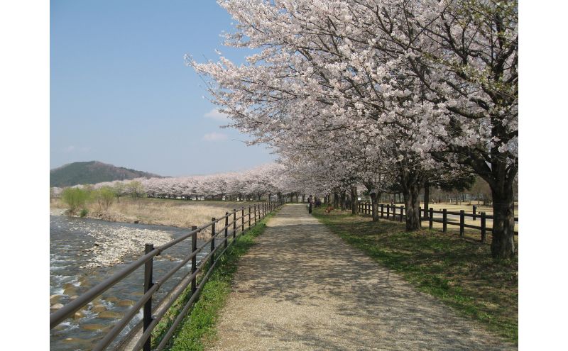 出会いの森総合公園オートキャンプ場で使える 施設利用券 3,000円分 クーポン チケット キャンプ アウトドア 鹿沼市